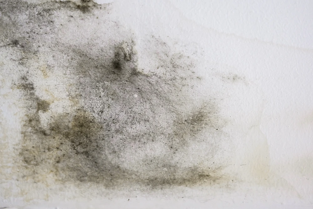 Water damaged ceiling roof, brown stain, office building