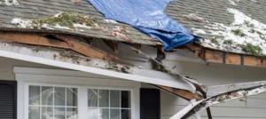 Residential house crushed by fallen trees
