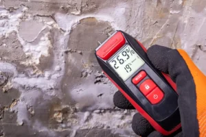 tool used to determine level of water damage to a residential home