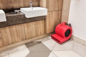 Read more about the article What to Do if Your Bathroom is Flooded
