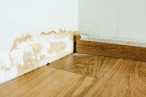 Read more about the article Signs of Water Damage: What to Look for in a Home