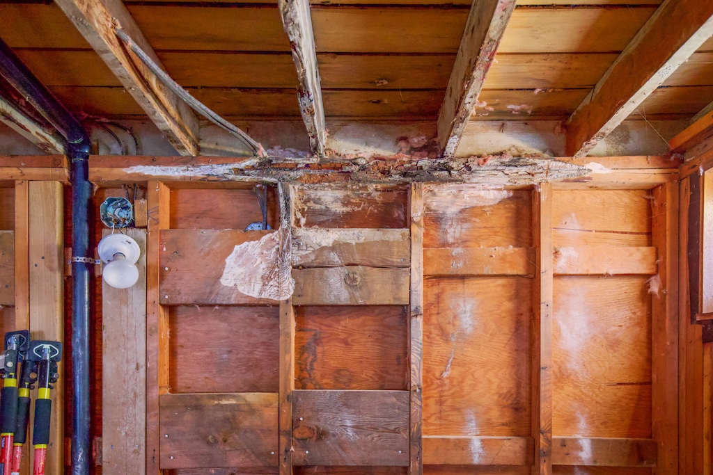 dry rot structural damage in bathroom